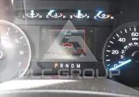 2019 Ford F-150 фото