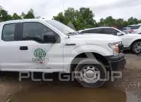 2019 Ford F-150 photo