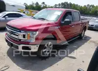 2019 Ford F-150 photo