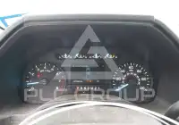 2019 Ford F-150 фото