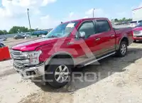 2019 Ford F-150 фото