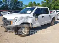 2019 Ford F-150 photo