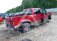 2019 Ford F-150 фото
