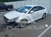 2019 Hyundai Sonata photo