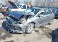 2019 Hyundai Sonata фото