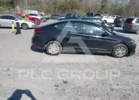 2019 Hyundai Elantra фото