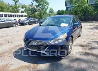 2019 Hyundai Sonata фото