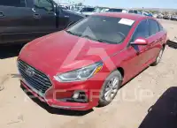 2019 Hyundai Sonata фото