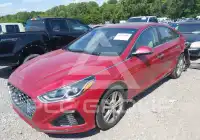 2019 Hyundai Sonata фото