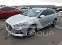 2019 Hyundai Sonata photo