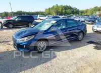2019 Hyundai Sonata photo