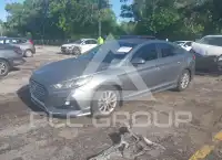 2019 Hyundai Sonata фото