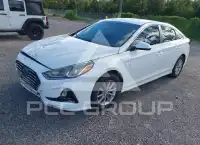 2019 Hyundai Sonata photo