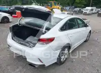 2019 Hyundai Sonata фото