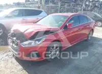 2019 Hyundai Sonata фото