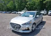 2019 Hyundai Sonata фото