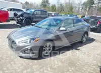 2019 Hyundai Sonata фото