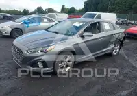 2019 Hyundai Sonata фото