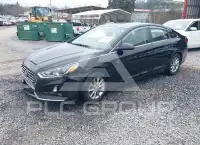 2019 Hyundai Sonata фото