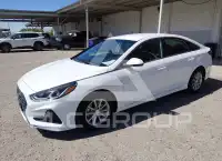 2019 Hyundai Sonata фото