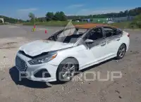 2019 Hyundai Sonata photo