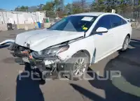 2019 Hyundai Sonata photo