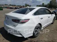 2019 Hyundai Sonata photo