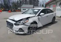 2019 Hyundai Sonata фото