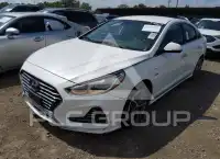 2019 Hyundai Sonata photo