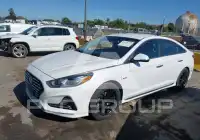 2019 Hyundai Sonata фото