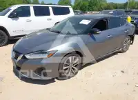 2020 Nissan MAXIMA фото