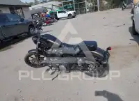 2020 Harley-Davidson XL883 photo