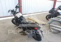 2020 Harley-Davidson XL883 фото