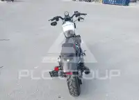 2020 Harley-Davidson XL883 photo