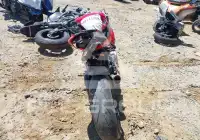 2020 Ducati PANIGALE фото
