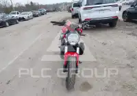 2020 Ducati Monster photo