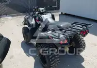 2020 Kawasaki KVF300 фото