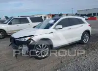2020 Infinity QX50 фото