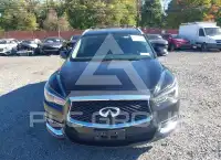 2020 Infinity QX60 photo