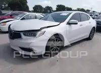 2020 Acura TLX фото