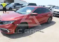 2020 Honda CIVIC фото