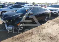 2020 Honda CIVIC фото