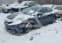 2020 Honda CIVIC фото