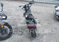 2020 Honda CMX500 photo
