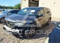 2020 Honda PILOT фото