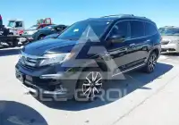 2020 Honda PILOT фото