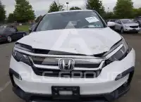 2020 Honda PILOT фото