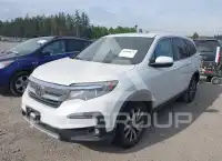 2020 Honda PILOT фото