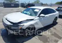 2020 Honda Accord photo