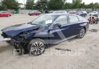 2020 Honda Accord photo
